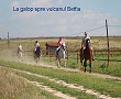 Calarie